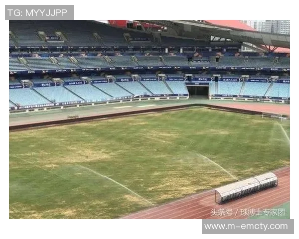 河南专业足球场建设进展与未来发展展望分析